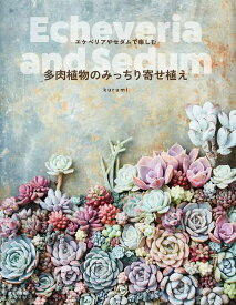 多肉植物のみっちり寄せ植え エケベリアやセダムで楽しむ／kurumi【1000円以上送料無料】