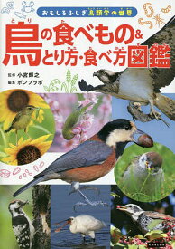 【送料無料】鳥の食べもの&とり方・食べ方図鑑／小宮輝之／ポンプラボ