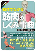 楽天市場】カラー図解 筋肉のしくみ・はたらき事典の通販