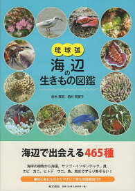 【送料無料】琉球弧・海辺の生きもの図鑑／鈴木廣志／西村奈美子