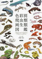 【送料無料】色彩別爬虫類・両生類図鑑／川添宣広