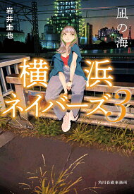 凪の海／岩井圭也【1000円以上送料無料】