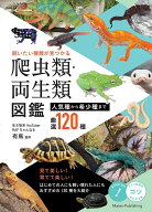 【送料無料】飼いたい種類が見つかる爬虫類・両生類図鑑 人気種から希少種まで厳選120種／有馬