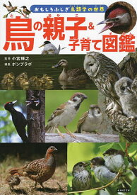 【送料無料】鳥の親子&子育て図鑑／小宮輝之／ポンプラボ
