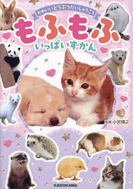 【送料無料】かわいいどうぶつだいしゅうごうもふもふいっぱいずかん／小宮輝之
