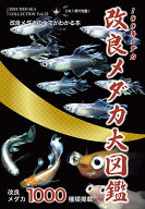 【送料無料】改良メダカ大図鑑 100年メダカ Vol.21(2024)／めだかの館／大場幸雄