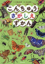 【送料無料】こんちゅうさがしえずかん／横山拓彦／丸山宗利／子供／絵本