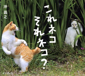 【送料無料】これネコそれネコ?／沖昌之