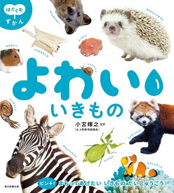 【送料無料】よわいいきもの／小宮輝之／朝日新聞出版