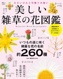 【送料無料】美しい雑草の花図鑑／稲垣栄洋
