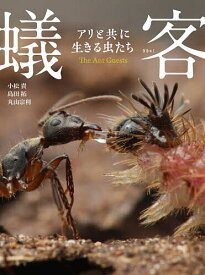 【送料無料】蟻客 アリと共に生きる虫たち／小松貴／島田拓／丸山宗利