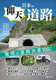 【送料無料】日本の仰天道路／平沼義之／旅行