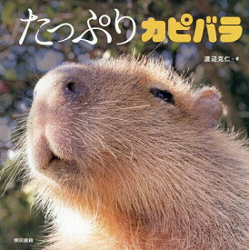 【送料無料】たっぷりカピバラ／渡辺克仁