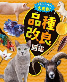 【送料無料】ビフォーアフター大変身!品種改良図鑑／小宮輝之／竹下大学