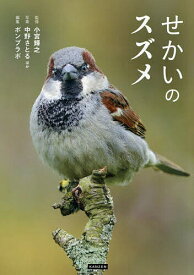【送料無料】せかいのスズメ／小宮輝之／中野さとる／ポンプラボ