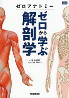 【送料無料】ゼロアナトミーゼロから学ぶ解剖学／吉田直紀