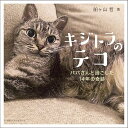 【送料無料】キジトラのテコ パパさんと過ごした14年の奇跡／船ヶ山哲