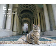 【送料無料】’27 ねこ卓上週めくりカレンダー