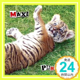 【中古】PUNK IT! MAX! LIMITED EDITION(DVD付) [CD] オムニバス「1000円ポッキリ」「送料無料」「買い回り」