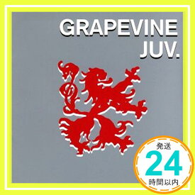 【中古】ジュブナイル [CD] GRAPEVINE「1000円ポッキリ」「送料無料」「買い回り」