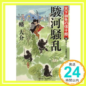 【中古】駿河騒乱 天下御免の信十郎9 (二見時代小説文庫) [Apr 26, 2013] 幡 大介「1000円ポッキリ」「送料無料」「買い回り」