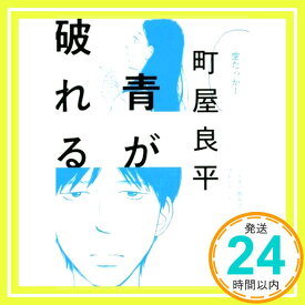 【中古】青が破れる (河出文庫 ま 20-1) [Feb 05, 2019] 町屋良平「1000円ポッキリ」「送料無料」「買い回り」