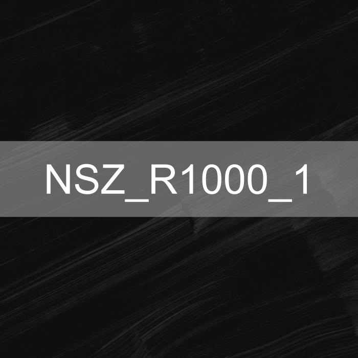 NSZ1000