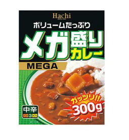 訳あり10箱入メガ盛りカレー　中辛300g 賞味期限:2025/5/30レトルトカレー