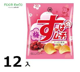 訳あり12袋入すっぱムーチョチップス　梅味55g 賞味期限:2024/8/8