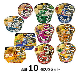 訳ありごつ盛りシリーズ10種セット各味1入 賞味期限:2024/6/5