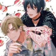 【中古】 ドラマCD「純情でなにが悪い」／（ドラマCD）,堀江瞬,阿座上洋平,新垣樽助,野辺シュウ,堀金蒼平…