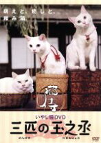 楽天市場】猫弁 死体の身代金 dvdの通販