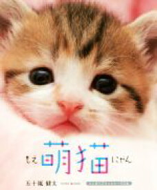【中古】 萌猫 かわいい猫たっぷり集めました／五十嵐健太(著者)
