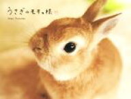 【中古】 写真集　うさぎのモキュ様／Imai　Tomoko(著者)