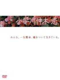 【中古】 小早川伸木の恋　DVD−BOX／唐沢寿明,藤木直人,片瀬那奈,谷原章介,柴門ふみ