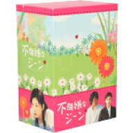 【中古】 不機嫌なジーン　DVD−BOX／竹内結子,大森美香（脚本）,山口雅俊（プロデュース）,鹿内植（プロ…