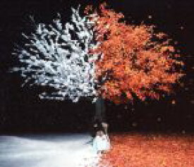 【中古】 茜さす／everlasting　snow（通常盤）／Aimer