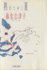 【中古】 熟れてゆく夏 文春文庫／藤堂志津子【著】