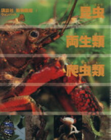 【中古】 昆虫・両生類・爬虫類 講談社　動物図鑑　ウォンバット1／今泉吉典,今島実,矢島稔,松井孝爾