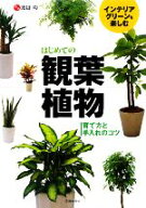 【中古】 はじめての観葉植物 インテリアグリーンを楽しむ　育て方と手入れのコツ／渡辺均【監修】