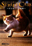 【中古】 STREET　CATS のらねこ。写真集／中川こうじ【著】