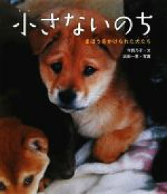 【中古】 小さないのち まほうをかけられた犬たち 動物たちの命の物語1／今西乃子【文】，浜田一男【写真】