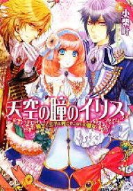 【中古】 天空の瞳のイリス　騎士と王子と死にぞこないの聖女 ビーズログ文庫／小柴叶【著】