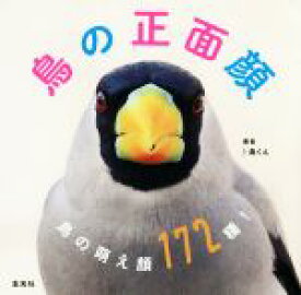 楽天市場 鳥 正面の通販 楽天市場 鳥 正面の通販
