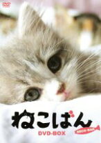 楽天市場】猫弁 死体の身代金 dvdの通販 