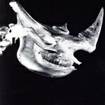 Mr.Children 1996-2000