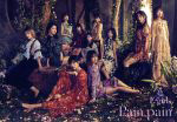 【中古】 Ｐａｉｎ，ｐａｉｎ（初回生産限定盤）（ＤＶＤ付）／Ｅ－ｇｉｒｌｓ