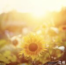楽天市場 グリーン 花唄の通販