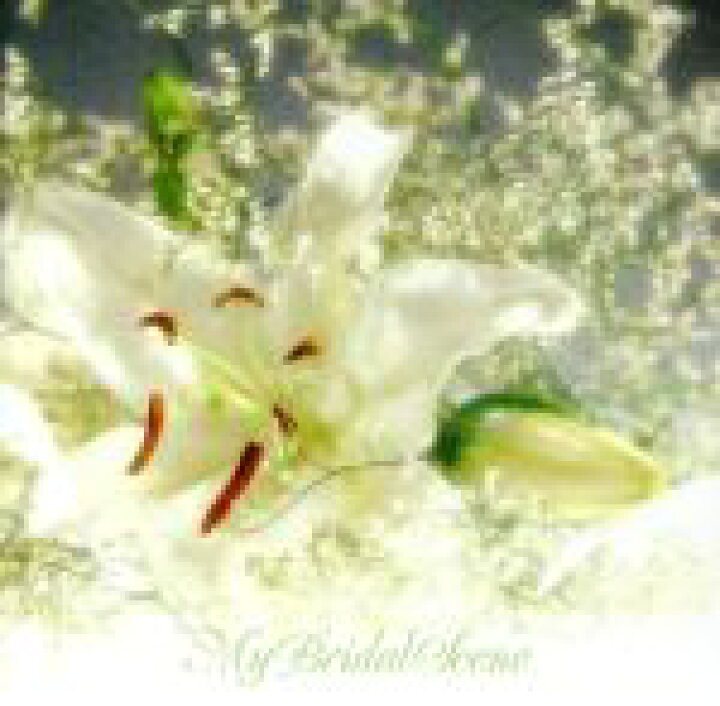 楽天市場 中古 結婚式 この曲がピッタリ ｂｇｍ 中古 Afb ブックオフオンライン楽天市場店