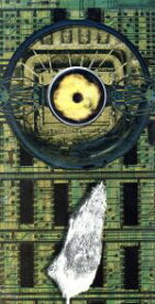 【中古】 【8cm】MAD　SKY−鋼鉄の救世主−／PIERROT